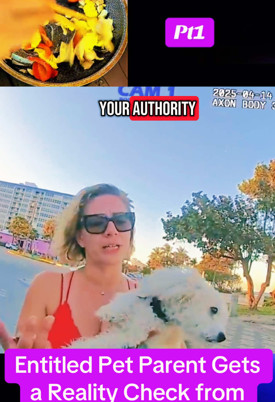 A post by @skycopcamtv on TikTok caption: Entitled Pet Parent Gets a Reality Check from Cop#policeofficer #copsoftiktok #cops #foryou 