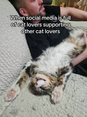 A post by @jacksongalaxy on TikTok caption: This one came in from Catalina, who sent us this ridiculously sweet clip of her 1-year-old, Coloso, absolutely knocked out in his dad’s arms. Honestly… moments like this and the cat-loving, comment-hyping, tail-wag-celebrating community we’ve all built? That’s what it’s all about.😻 #cats #catcommunity #catlovers  
