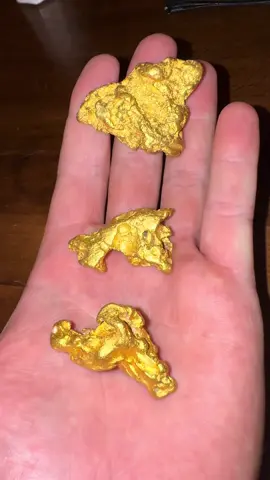 A post by @fishingarrett on TikTok caption: Looking for giant gold nuggets! #california#gold#goldnugget#metaldetecting#treasure#goldmine#wildlife#snake#yoink#garrett#nature#mountains#adventure#hiking 