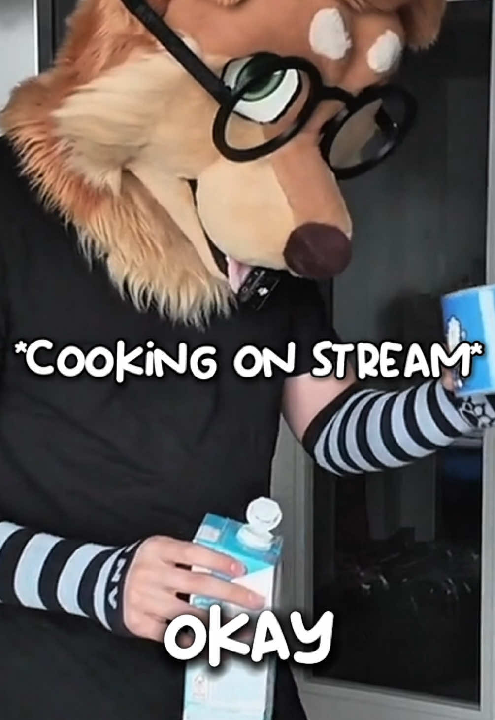 A post by @justafluffymax on TikTok caption: I swear my cooking streams are unhinged… #furry #cooking #goodboy #cute 