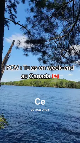 A post by @ on TikTok caption: #cejour-là