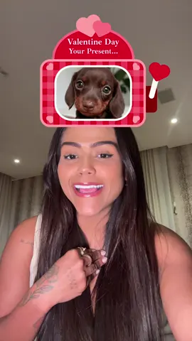A post by @camilaloures on TikTok