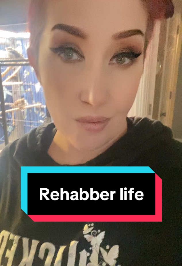 A post by @monroemenagerie on TikTok caption: SEND REDBULL!! 🤣 #rehabber #rescue #birds #birdsoftiktok #redbull 