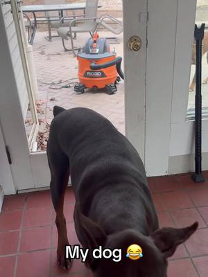 A post by @barstoolsports on TikTok caption: The door 😂@I Can’t Even (Via:@mcgrathdogs) 