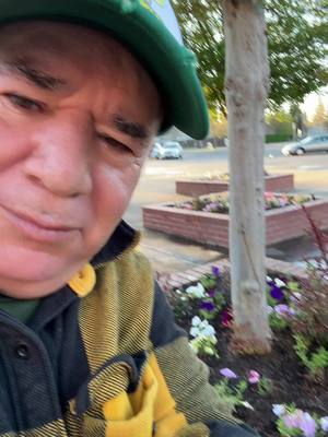 A post by @ricardomendoza6180 on TikTok