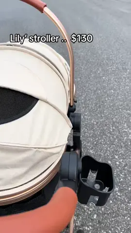 A post by @hereforthelaughter on TikTok caption: Pet strollers!! #petstroller #raccoon 