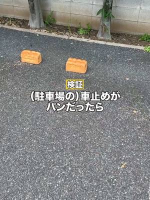 A post by @ibukitoyohedayo on TikTok caption: 駐車場の車止めがパンだったらwww#検証 #ドッキリ #伊吹とよへ 