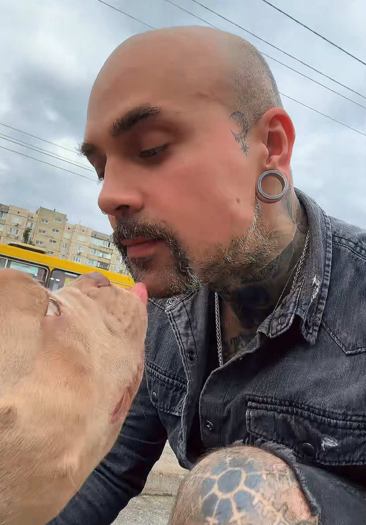 A post by @tomashevskyi_dima on TikTok caption: Кому подарить 🐶?