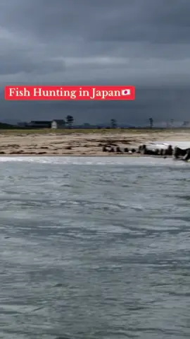 A post by @arif_ullah_king on TikTok caption: Fish hunting with Japanese friend 🇯🇵🥰