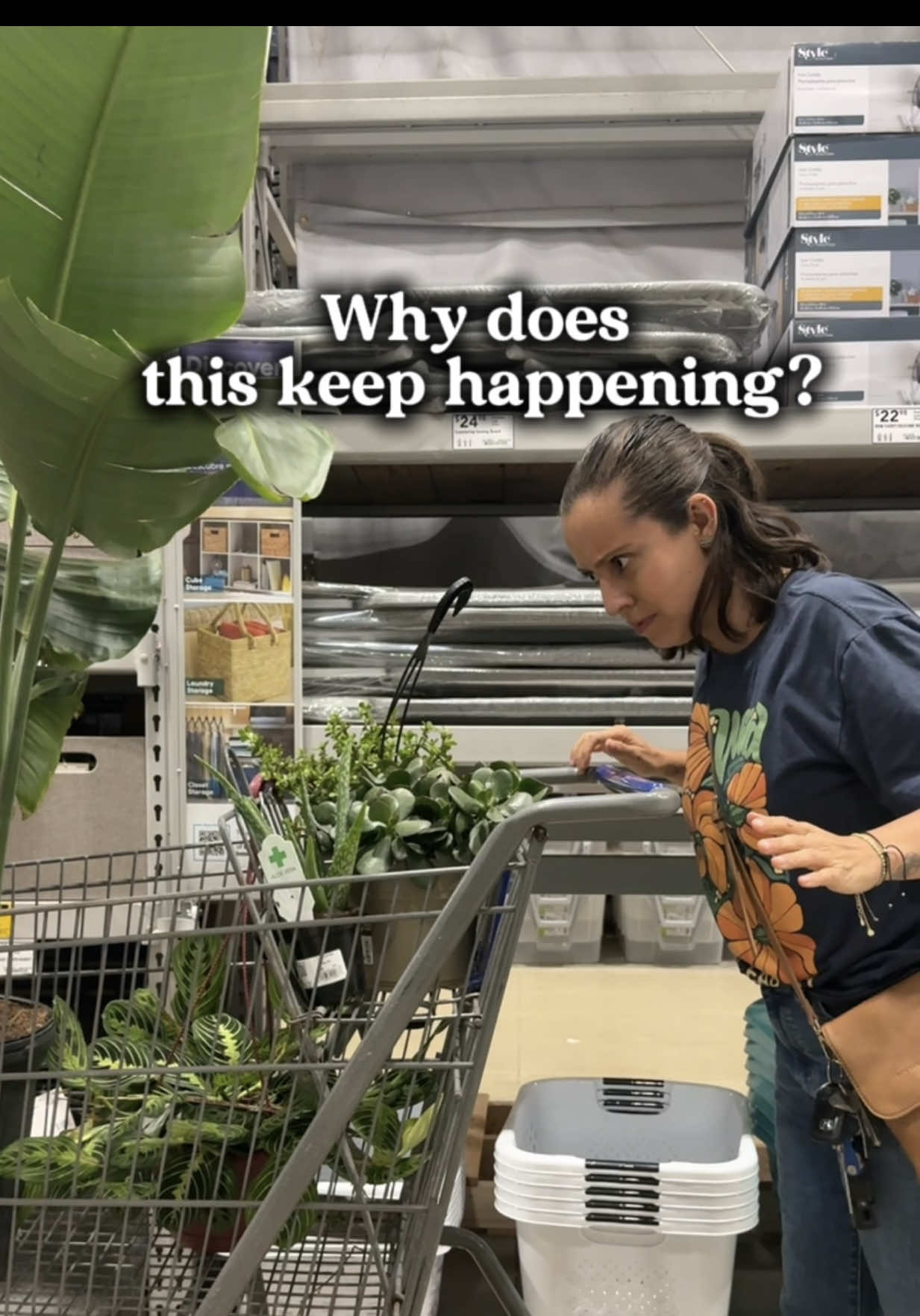A post by @plantswithkrystal on TikTok caption: Cashier: “Did you find everything you were looking for?” Me: 👩🏽‍🌾🪴🌿 #plantperson #planthumor 