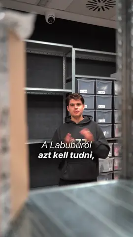 A post by @balazskicks on TikTok caption: Neked mi a véleményed a Labubu babákról? #balazskicks