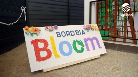 A post by @agriland.ie on TikTok caption: Go behind the scenes of Bord Bia Bloom 2025 #bloom2025