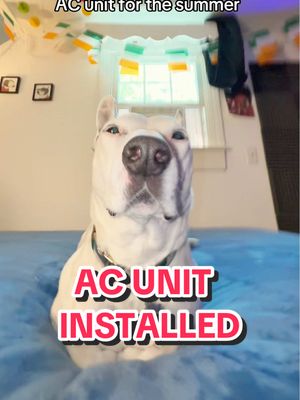 A post by @mistermainer on TikTok caption: It’s on 64 degrees (17.7 C) 🥶❄️🧊#ac #airconditioner #aircon #airconditioner #summer #maine 