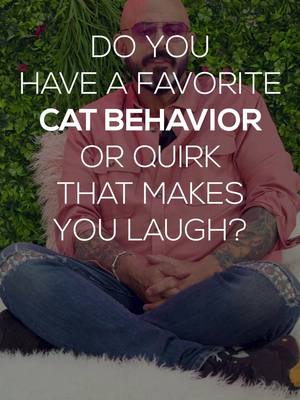 A post by @jacksongalaxy on TikTok caption: Who’s else loves the BLEP?😋 #cats #cathbehavior #blep #catlovers #funnycats 
