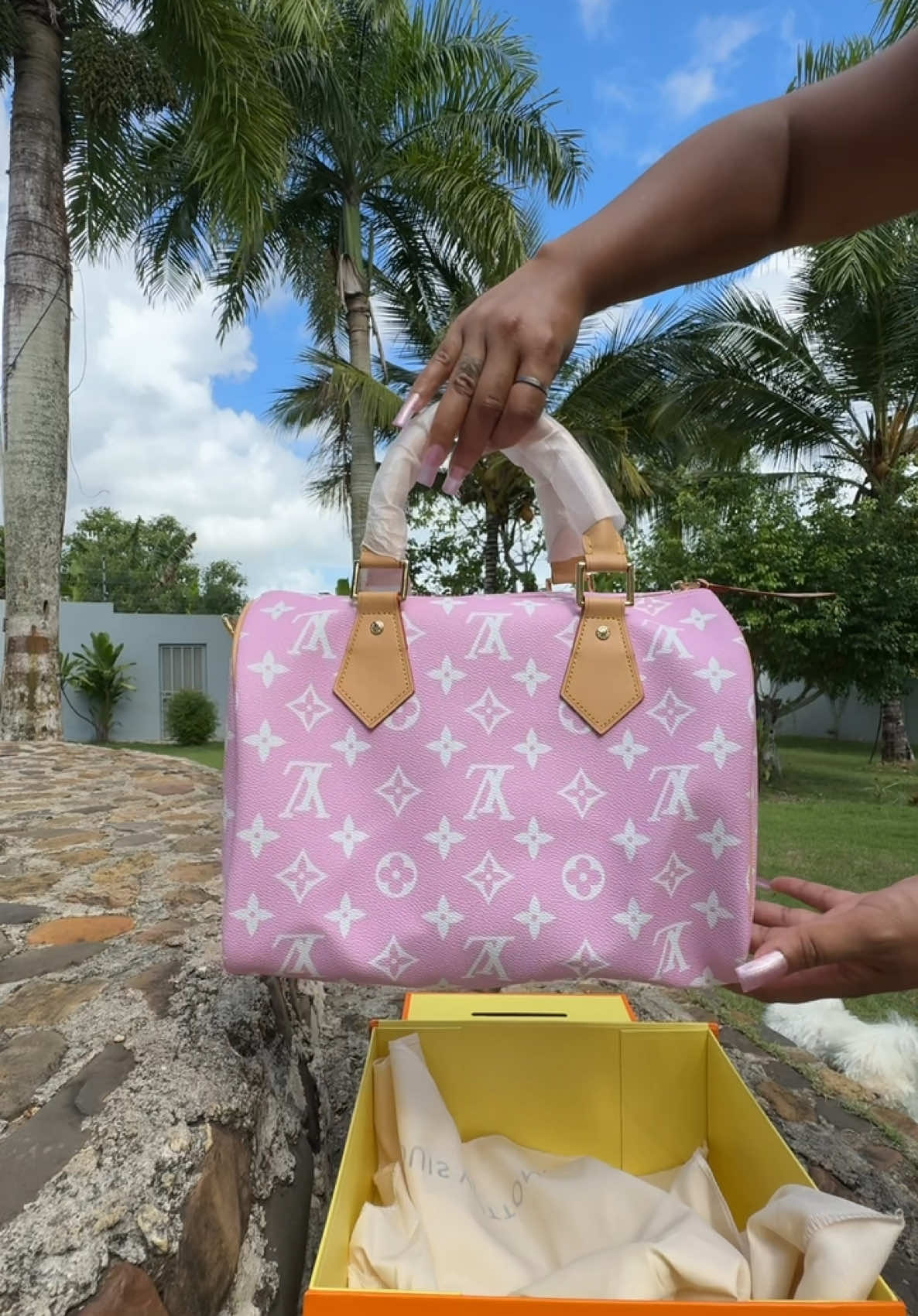 A post by @vivalapinkposh on TikTok caption: 🔥 Definitely a new favorite 😍 We need more colors. #unboxing 