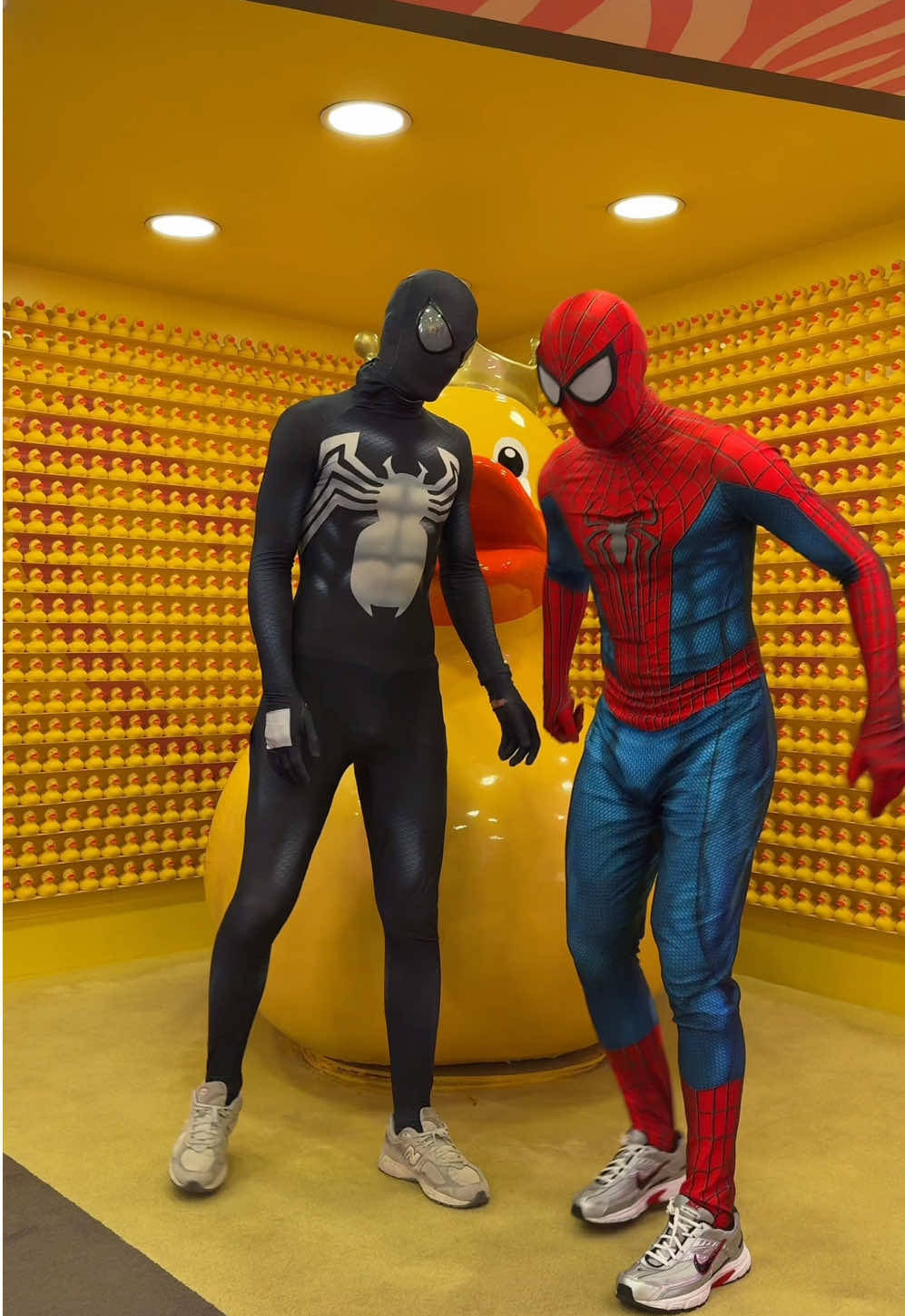 A post by @moscow_spider on TikTok caption: I like the most active ones♥️ My YouTube channel: Moscow Spider✅ #moscowspider 