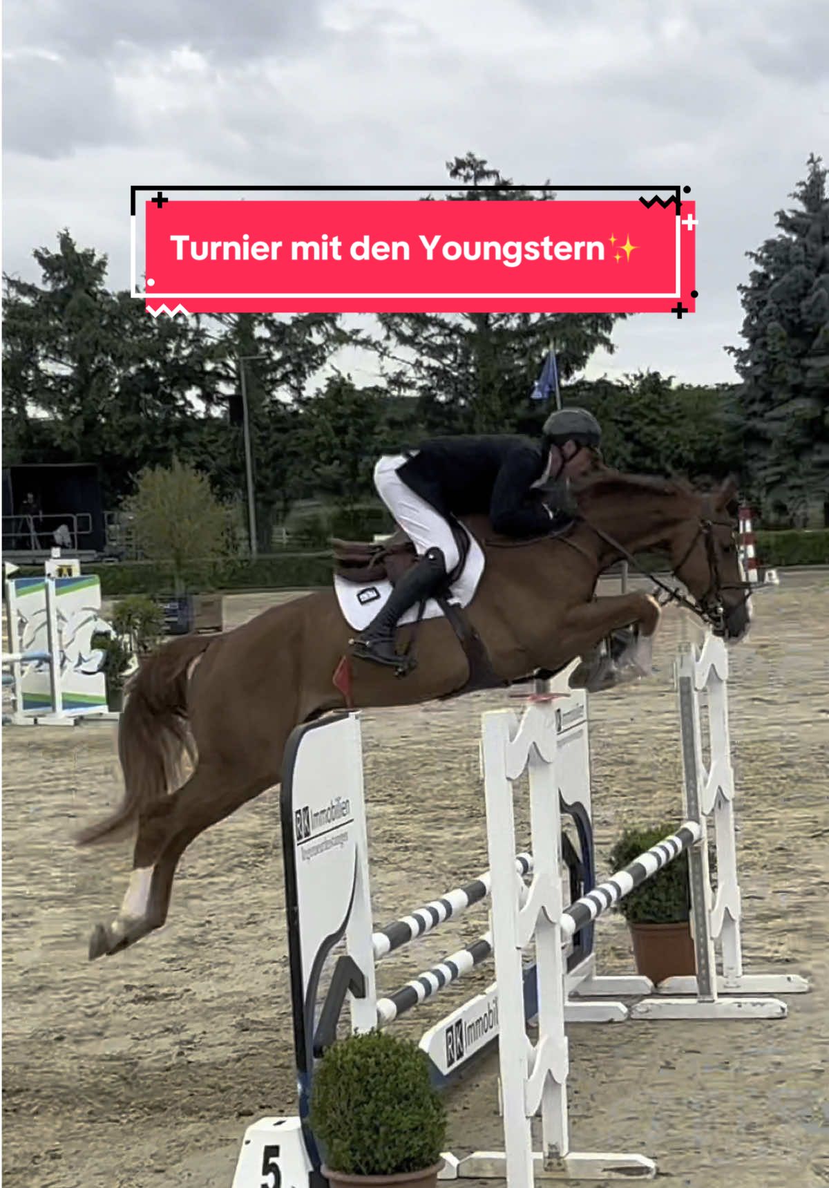 A post by @bellaxhorses on TikTok caption: Dino 🦖 und Corny 🤍 waren so klasse 🫶🏼 sind das ganze Wochenende unterwegs es gibt also viele Vlogs🥰 was wollt ihr sehen?? #bellaxhorses #horseslover #showjumpinghorse #horsegirl #equestrianlife #pferdeliebe #equestrians #pferdemädchen #equestrianlove #horsesoftiktoktok #equestriangirl #stallvlog #younghorses 
