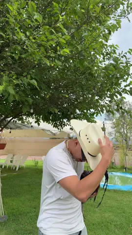 A post by @nilocreyes on TikTok caption: Gallo de pelea 👀
