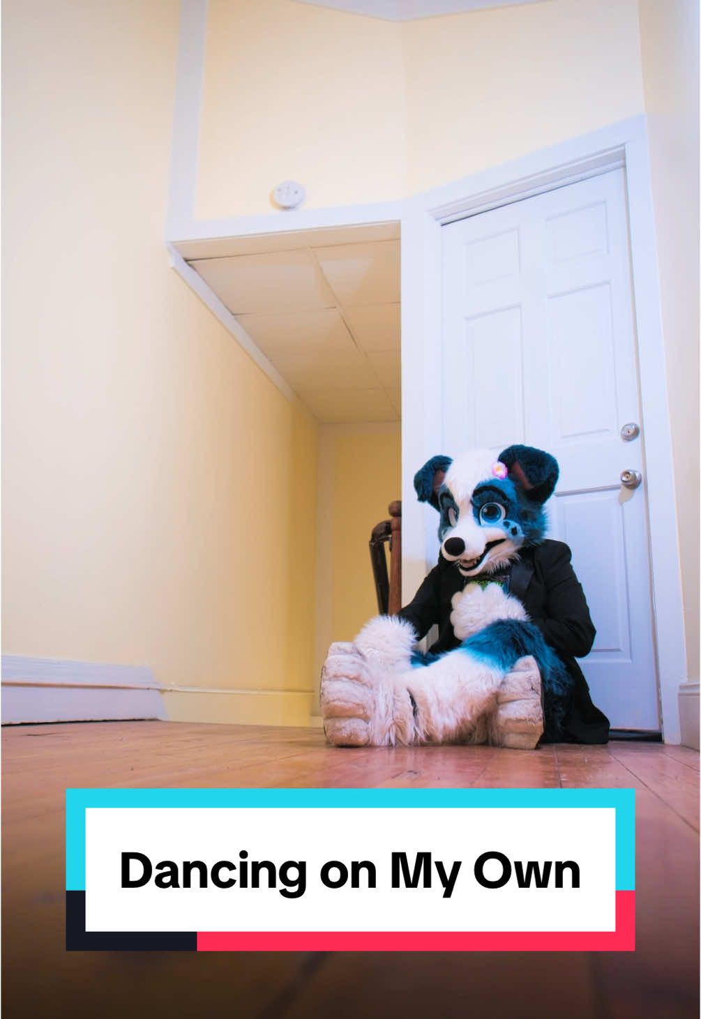 A post by @littlealphapup on TikTok caption: “Wrong use of POV” I don’t careeee #furry #furryfandom #littlealphapup #singer #dancingonmyown #callumscott 