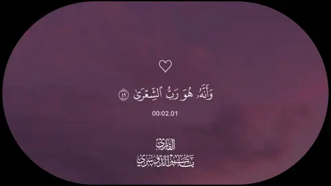 A post by @quran1377 on TikTok caption: تدبروا الآيات🤍#قرآن #قرآن_كريم #القرآن_الكريم #ياسر_الدوسري #قرآن_صلي_علي_النبي 