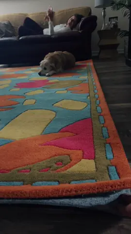 A post by @dereklipp_ on TikTok caption: What do you guys think 😂 #rug 