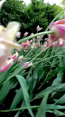 A post by @sadi_naz on TikTok caption: #trustGod #healingprocess #tawakkul 