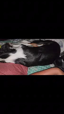 A post by @anjana_tharindu on TikTok caption: ❤️🫰