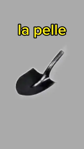 A post by @frenchwithhabibzai603 on TikTok caption: #foryourpage #viralvideo #france🇫🇷 #francaise🇨🇵 #vivrelafrance🇨🇵🇨🇵🇨🇵🇨🇵 