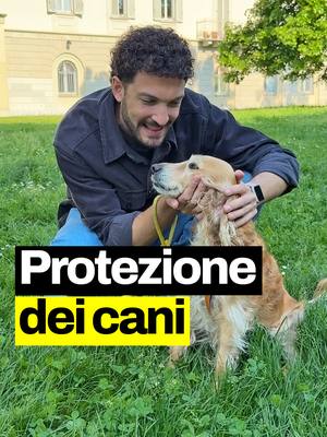 A post by @geopop on TikTok caption: Come fa un prodotto insetticida e repellente a proteggere i nostri animali? Ecco cosa succede quando li applichiamo, perché sono fondamentali per la loro salute... e anche per la nostra!