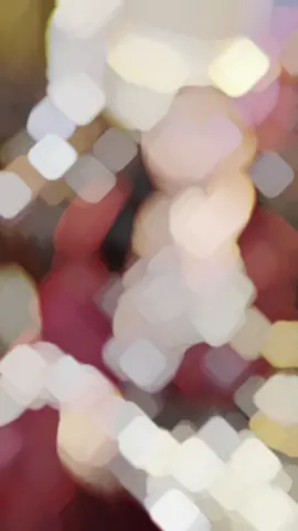 A post by @adibachowdhury027 on TikTok caption: #CapCut 🥺💔🥀 #foryou #foryoupage 
