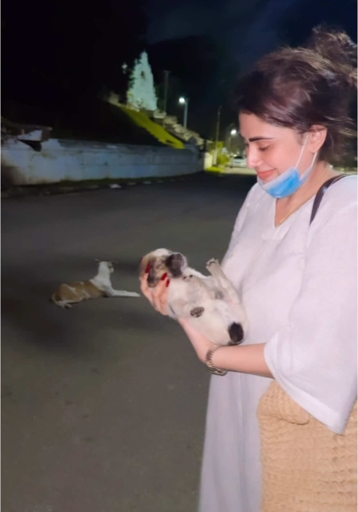 A post by @piumihansamali on TikTok caption: සත්තු එක්ක කතා කර කර එයාලාට පිහිට වෙන්න තමයි මම නම් දැං ආසම ❤️🥺 2025-05-28 