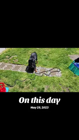 A post by @actionjackson2019 on TikTok caption: #onthisday