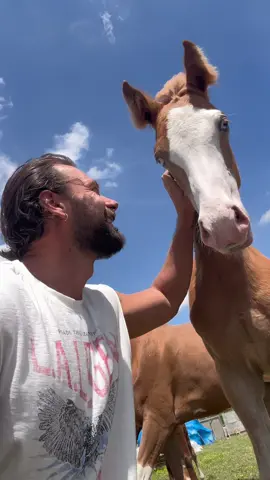 A post by @quentin.emery on TikTok caption: I can’t believe how fast this boy has grown. Only love ❤️ #fyp #horses #baby #farmlife #fyppppppppppppppppppppppp 