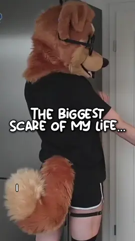 A post by @justafluffymax on TikTok caption: omg… that was scary #furry #cute #goodboy #cooking  