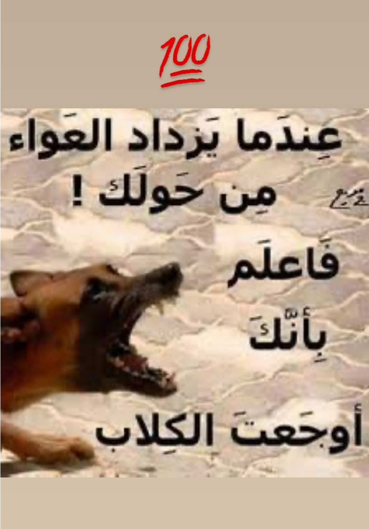 A post by @a_lost_arab_girl on TikTok caption: بحبكم ♥️