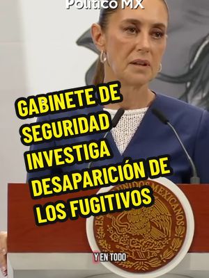 A post by @politicomx on TikTok caption: La presidenta Claudia Sheinbaum informó que el Gabinete de Seguridad "está trabajando muy de cerca con Tamaulipas" tras la desaparición de los integrantes del grupo Los Fugitivos, quienes presuntamente ya habrían sido encontrados sin vida. #tamaulipas #seguridad #losfugitivos #musica #claudiasheinbaum