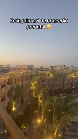 A post by @alexandracsii on TikTok