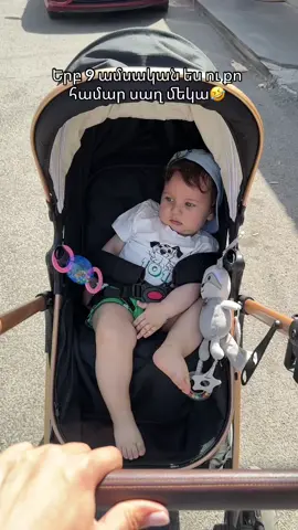 A post by @dinagog on TikTok caption: Դզվածա տղես😂
