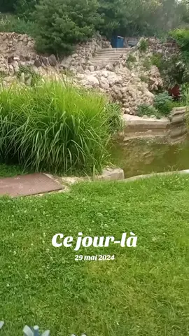A post by @miloudsaidan on TikTok caption: #cejour-là