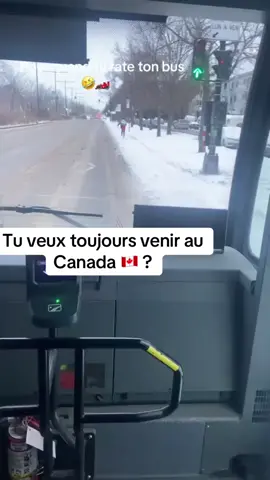 A post by @steevekgabriel on TikTok caption: Vous êtes surs que vous voulez venir ici la famille?😀 https://skg.enloja.ca