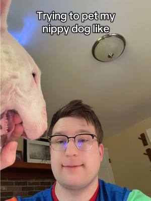 A post by @mistermainer on TikTok caption: Pookie is mouthy! #dogs #puppy #meme #funny #painful #ouchie #booboo 