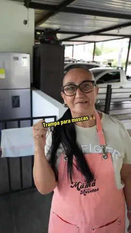 A post by @lamamadelasrecetas on TikTok caption: Así puedes hacer una Trampa para moscas 🪰
