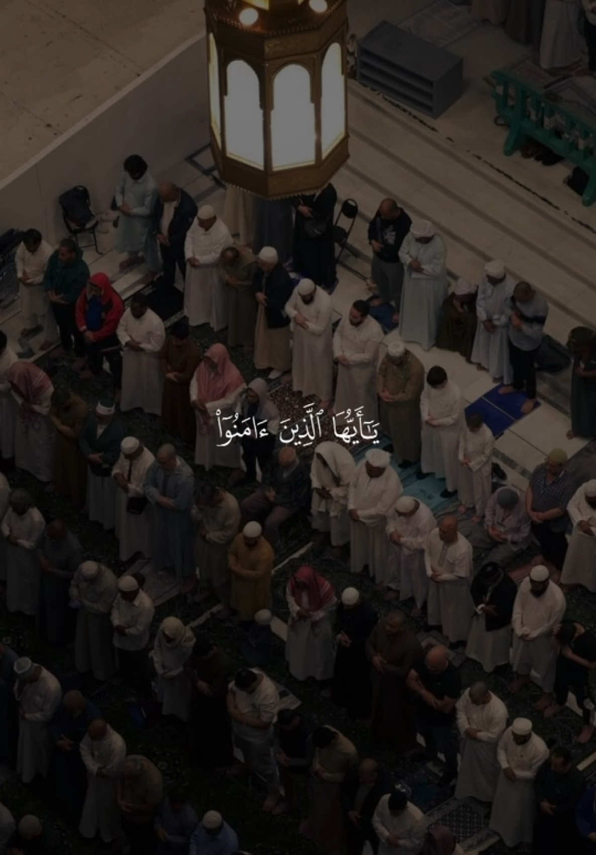 A post by @quran1377 on TikTok caption: اكثروا من الصلاة علي النبي في يوم الجمعة🤍#قرآن #قرآن_كريم #القرآن_الكريم #ياسر_الدوسري #قرآن_صلي_علي_النبي 