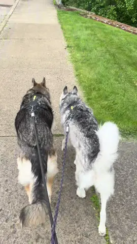 A post by @evil.old.hag.lol on TikTok