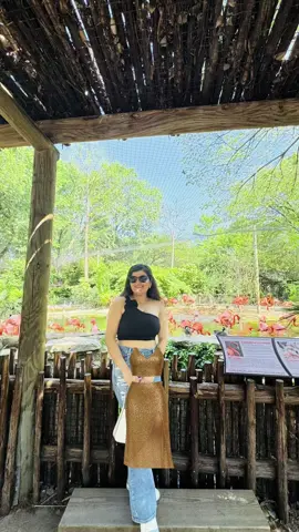 A post by @august_bless08 on TikTok caption: #CapCut #creatorsearchinsights #follwingtrend #trending 