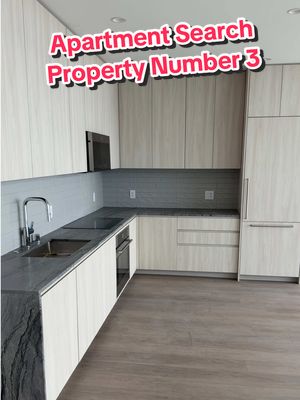 A post by @thelavelleshow on TikTok caption: Thoughts on property number 3 friend?! 🤔 #apartmenthunting #lavelleandbigguy 