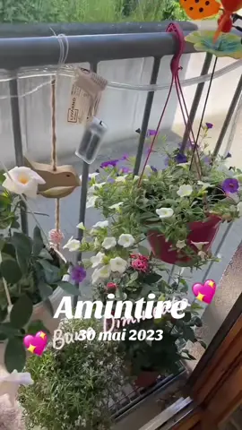 A post by @doamnasilvia on TikTok caption: #amintire 😇