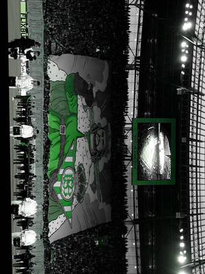 A post by @realbetisbalompie on TikTok caption: Los que juramos amor eterno ♾️💚 #RealBetis #Afición #DeportesEnTikTok #tiktokfootballacademy #ConferenceLeague 