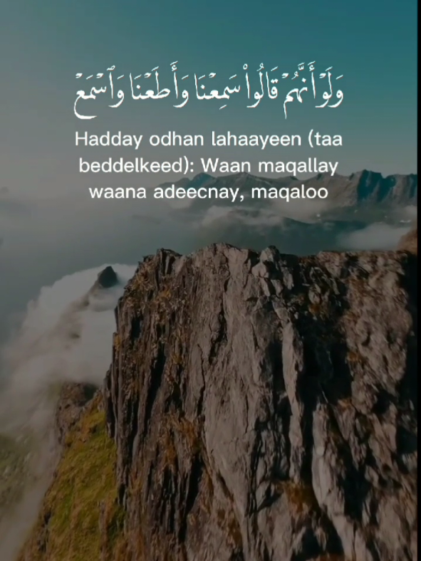 A post by @ahmet_yuusuf on TikTok caption: وَٱللَّهُ أَعۡلَمُ بِأَعۡدَاۤىِٕكُمۡۚ وَكَفَىٰ بِٱللَّهِ وَلِیࣰّا وَكَفَىٰ بِٱللَّهِ نَصِیرࣰا  [Surah An-Nisāʾ: 45] #surahannisa #tobecontinued #quran #quran_alkarim #القران_الكريم #foryoupage❤️❤️ #muslim #somalitiktok #quranrecitation #sheikhsalahbukhatir #ahmetyuusuf 