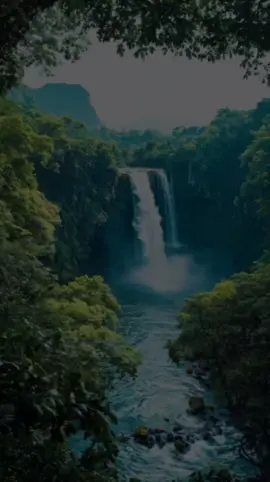 A post by @woo624 on TikTok